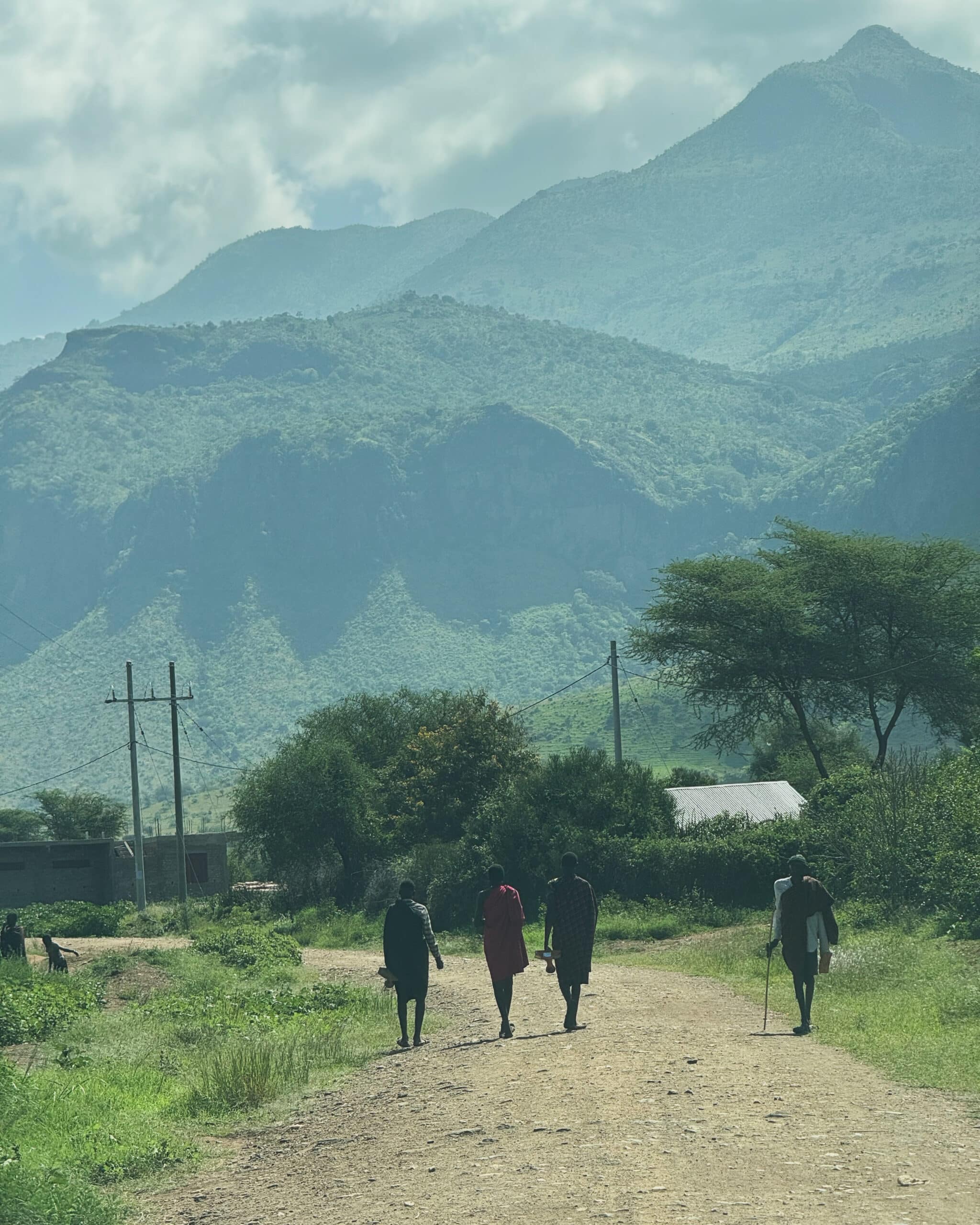 ASF in Uganda